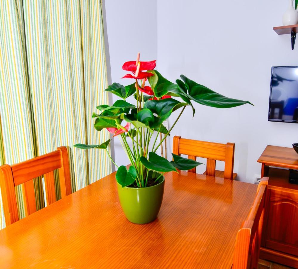 Casa Manoli Villa Конил-де-ла-Фронтера Екстериор снимка